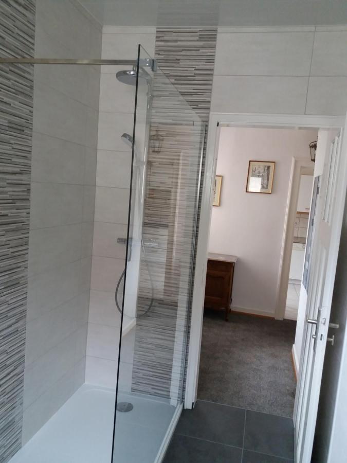 Logis Le 18 Rose Apartment Strasbourg Bagian luar foto